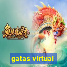 gatas virtual